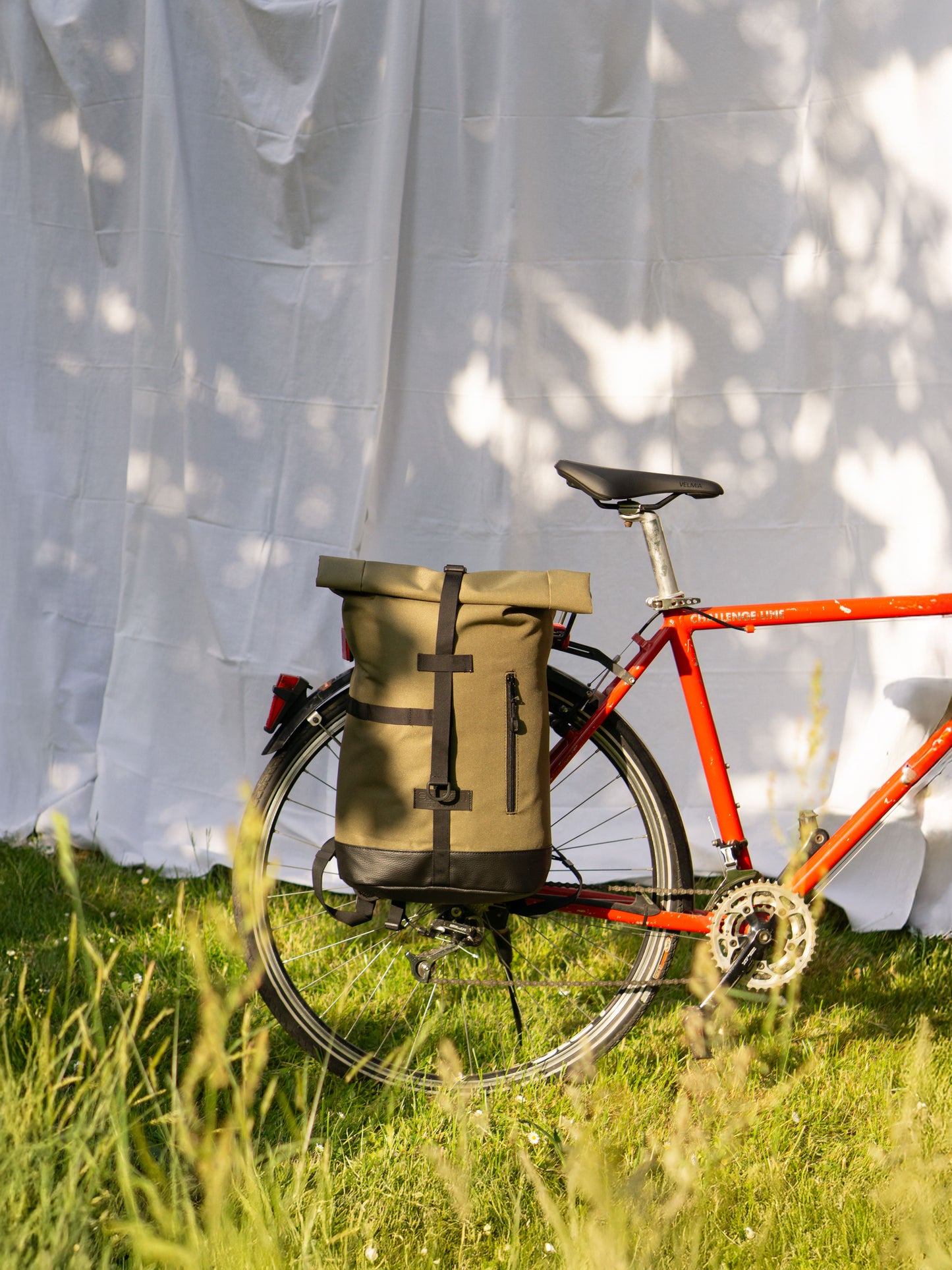 Fixie - Olive
